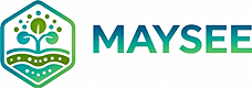 Maysee