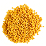 polymer coated urea