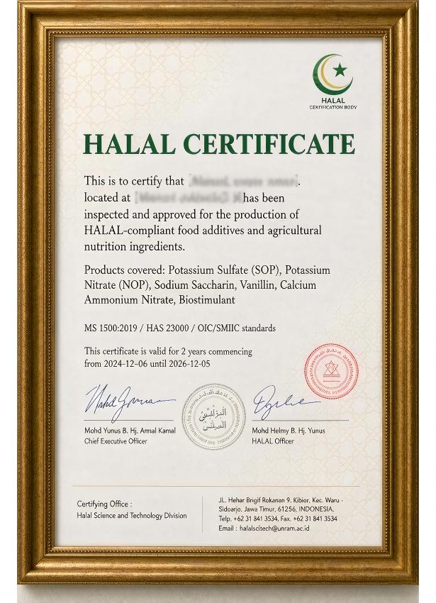 professional official halal ce 2026 09 09t05 40 22
