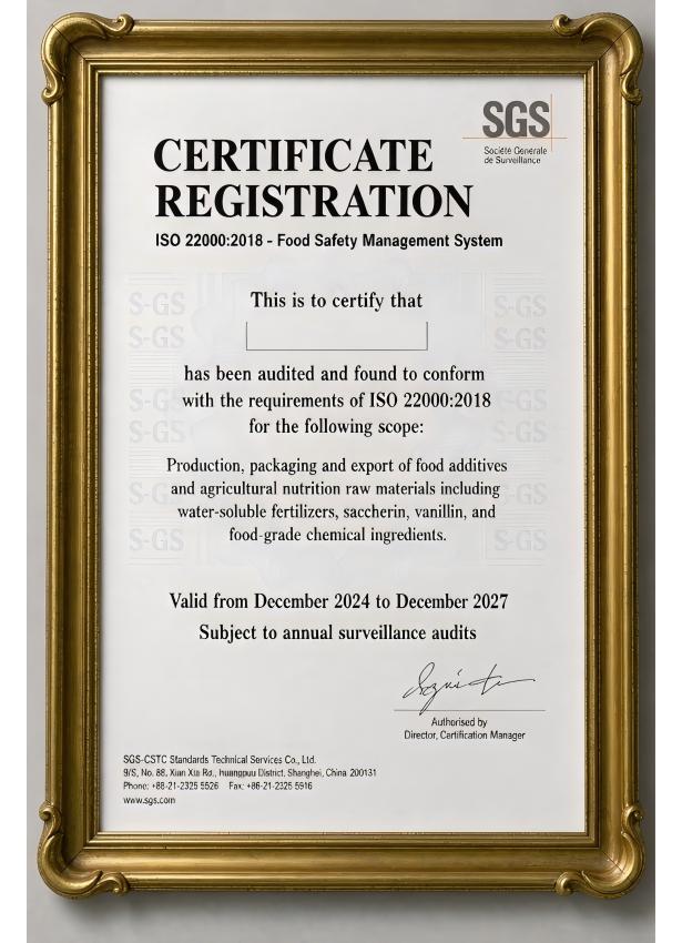 professional official iso 2200 2026 09 09t05 40 27